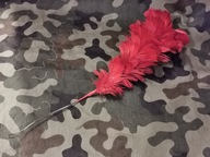 Kita Pióra Księstwo Warszawskie Czerwone -2-