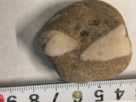 Agat mszysty muszlowy