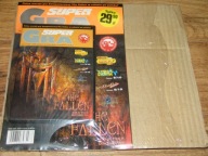 Gra na PC Polska wersja - THE FALLEN Star Trek Deep Space Nine (folia uszko