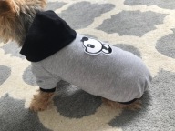 UBRANKO bluza DLA PSA TYPU YORK chihuahua S