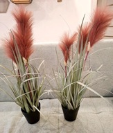 Trawa pampasowa zimna zieleń i różowe puszki 56 cm