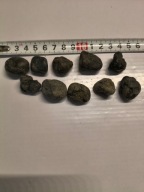 Małe i duże Tektyty 20 szt