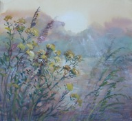 Kwiaty o zachodzie pejzaż Akwarela Sabina Salamon 28x26