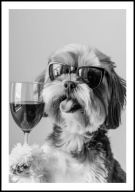 A2 59,4x42 PLAKAT OBRAZ PIES ŚMIESZNY SHIH TZU Z KIELISZKIEM WINA