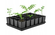 Doniczki do rozsady produkcyjne kwadratowe 0,8 L 24szt. z Podstawką 60x40cm