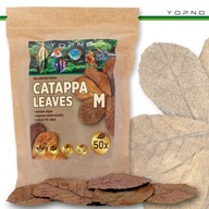 Yopno liście catappa 50szt M Migdalecznik ketapang Krewetki Pokarm Bojownik