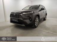 Toyota RAV4 2.5 Hybrid Executive 4x4 V (2018-) 2.5