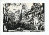 Wągrowiec, Obelisk, -W310