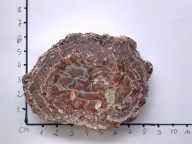 Magnes na lodówkę minerał agat polerowany Nowy Kościół Polska