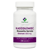 Kadzidłowiec Boswellia serrata ekstrakt 500 mg