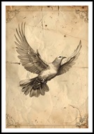 A2 PLAKAT RYSUNEK SZKIC VINTAGE RETRO GOŁĄB GOŁĘBICA