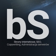 PROFESJONALNA STRONA INTERNETOWA WWW | WordPress | SEO | Teksty | Grafika