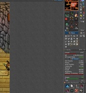 TIBIA 222 MS + 97 MLVL + 3 CHARMY + QUESTY + ANTICA+EQ+100cc