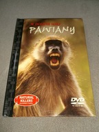 NATURAL KILLERS 9 PAWIANY w dolinie małp - DVD bez rys