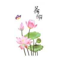 NAKLEJKI NA ŚCIANĘ - LILIA WODNA RÓŻOWY KWIAT MOTYLE