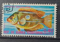 Ryby (kas) - luzak - do uzupełnień 13/8