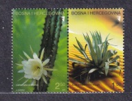 BOŚNIA ** Kwiaty, kwitnące kaktusy Mi 342-43