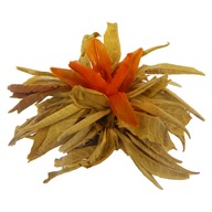 Herbata zielona century lover 3szt - 25g Rożek Herbata Kwitnąca