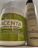 Zestaw do regeneracji włosów – maska PLACENTA + Artego Touch Forever Smooth