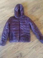 TERRANOWA Kurtka damska pikowana XS