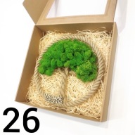 Drzewko Szczęścia Chrobotek, oryginalny prezent na każdą okazję, 26cm