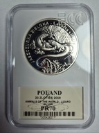 20 ZŁ JASZCZURKA GRADING GCN PR 70