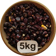 Kukurydza Czarna, Bordo, Drobna, Flint, od Rolnika, 5kg, 2025r