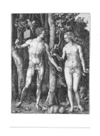 Pocztówka - Albrecht Dürer, Adam i Ewa / miedzioryt / OPIS !!!
