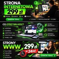 Strona internetowa WWW + hosting + domena + SSL + poczta + panel CMS