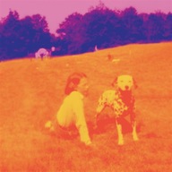 EELS - Blinking Lights And Other Revelations