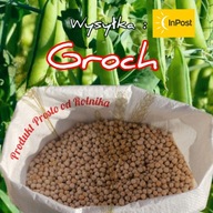 GROCH ŻÓŁTY SPOŻYWCZY 10 KG | CAŁE ZIARNO | PROSTO Z GOSPODARSTWA | SMART