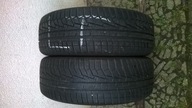 225/60R17 99 H Winter i*cept evo2 W320 PARA
