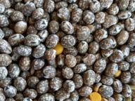 ŁUBIN GORZKI POPLON 25 Kg