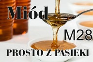 BANER SPRZEDAŻ MIODU MIÓD PROSTO Z PASIEKI120X80 M28