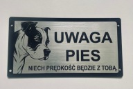 Tabliczka informacyjna srebrna uwaga zły pies AMSTAFF Bandog duży wybór