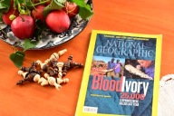 National Geographic po angielsku. October 2012.