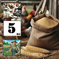 Śruta z kukurydzy GRUBA 5kg - prosto od rolnika