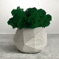 Doniczka betonowa geometryczna z mchem chrobotkiem