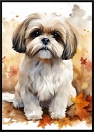 A2 59,4x42 PLAKAT OBRAZ PIES SHIH TZU JESIEŃ AKWARELA LIŚCIE, DO SALONU...
