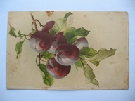 MARTWA NATURA ŚLIWKI przedwojenna POCZTÓWKA