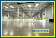 Magazyny i hale, Piotrków Trybunalski, 3440 m²