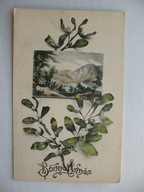 NOWY ROK JEMIOŁA przedwojenna POCZTÓWKA