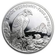 Polska, 20 złotych, Sokół wędrowny, 2008, Ag 925 (28,28 g)