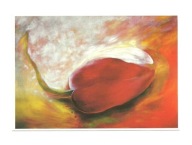 Pocztówka - J. Gordon, Czerwony tulipan i miłość, którą pokrył śnieg ...