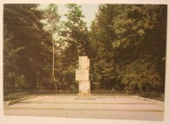 NIEPOŁOMICE. Pomnik ku czci ofiar faszyzmu, CZYSTA