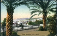 San Remo. Fra le Palme - D. Manapace 1920