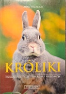 Króliki - zachowanie, rasy, choroby, pielęgnacje - Anne Warrlich