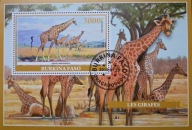 T.0458*B BLOK FAUNA SSAKI EGZOTYCZNE ŻYRAFY W ŚRODOWISKU NATURALNYM