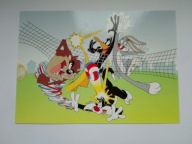 Bajki, animacje - Królik Bugs, Kaczor Daffy, Kot Sylwester - pocztówka