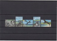 Ptaki, Pitcairn Islands, **